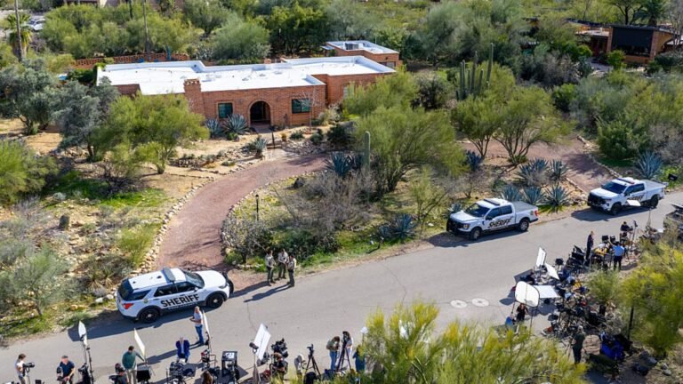 Suspect in Nancy Guthrie's abduction detained in Arizona, law enforcement official says: Reuters