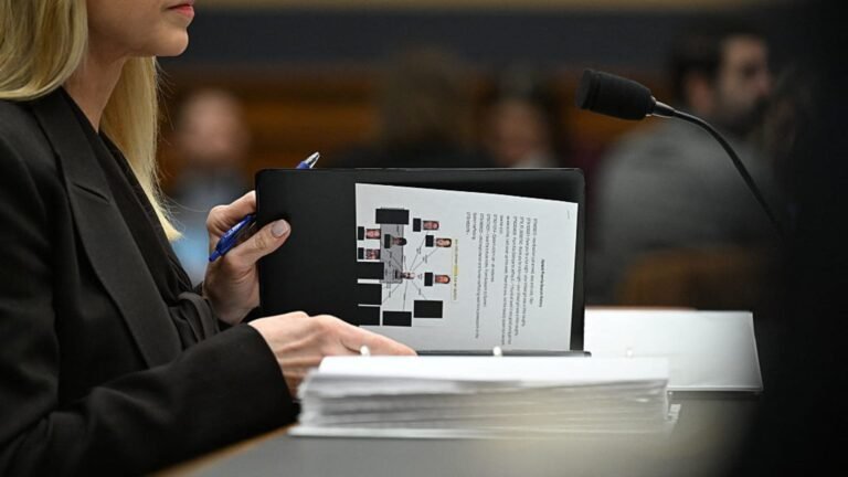 Epstein files: AG Pam Bondi appeared to have Rep. Jayapal's DOJ database search history at hearing