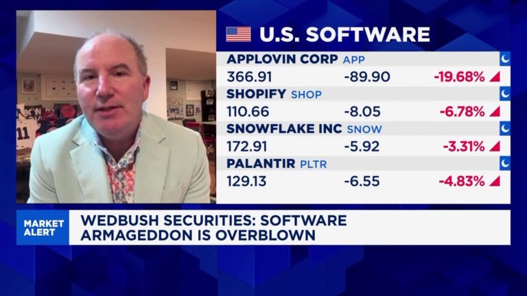 Dan Ives: Software 'doomsday' scenario is extremely overblown