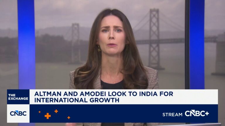 OpenAI, Anthropic CEOs make case for companies on global stage