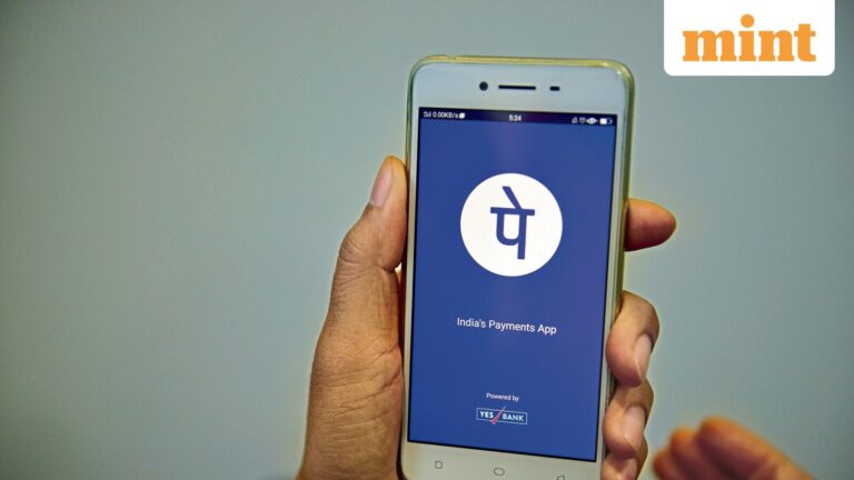 PhonePe IPO: 10 key risks investors should know from the updated DRHP