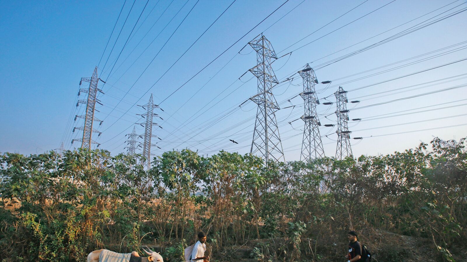 Tata Power Q3 results: Profit remains flat at  ₹1,194 crore, revenue falls 4% YoY