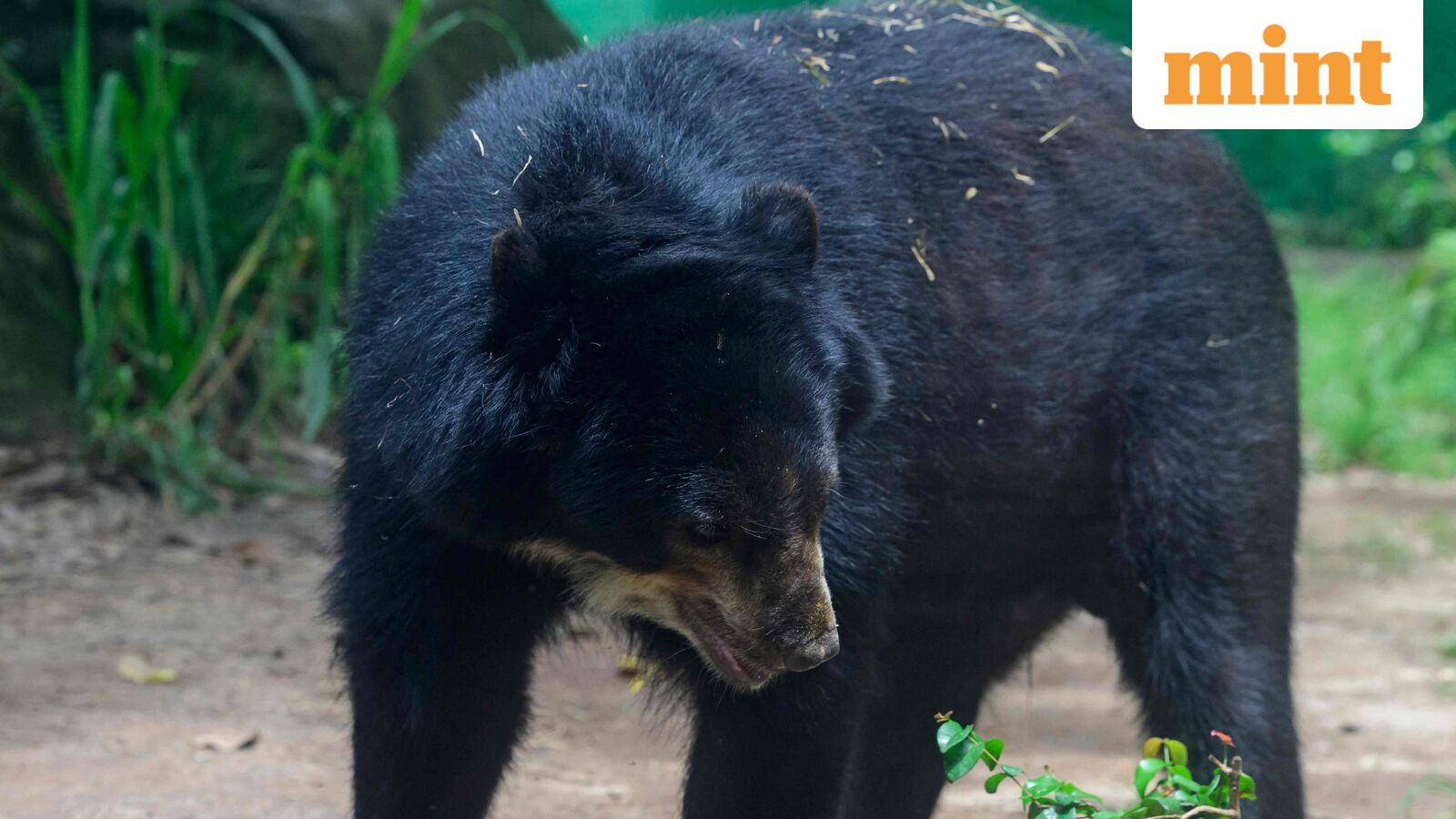 The stock market is too confident. That’s a risk.