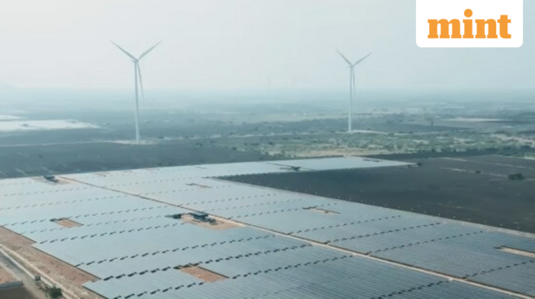 Clean Max Enviro IPO Allotment LIVE: GMP, steps to check share allotment status online on BSE, NSE, MUFG | Stock Market News