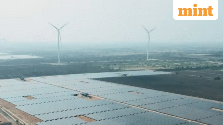 Clean Max Enviro IPO allotment date likely today. GMP, steps to check share allotment status online | Stock Market News