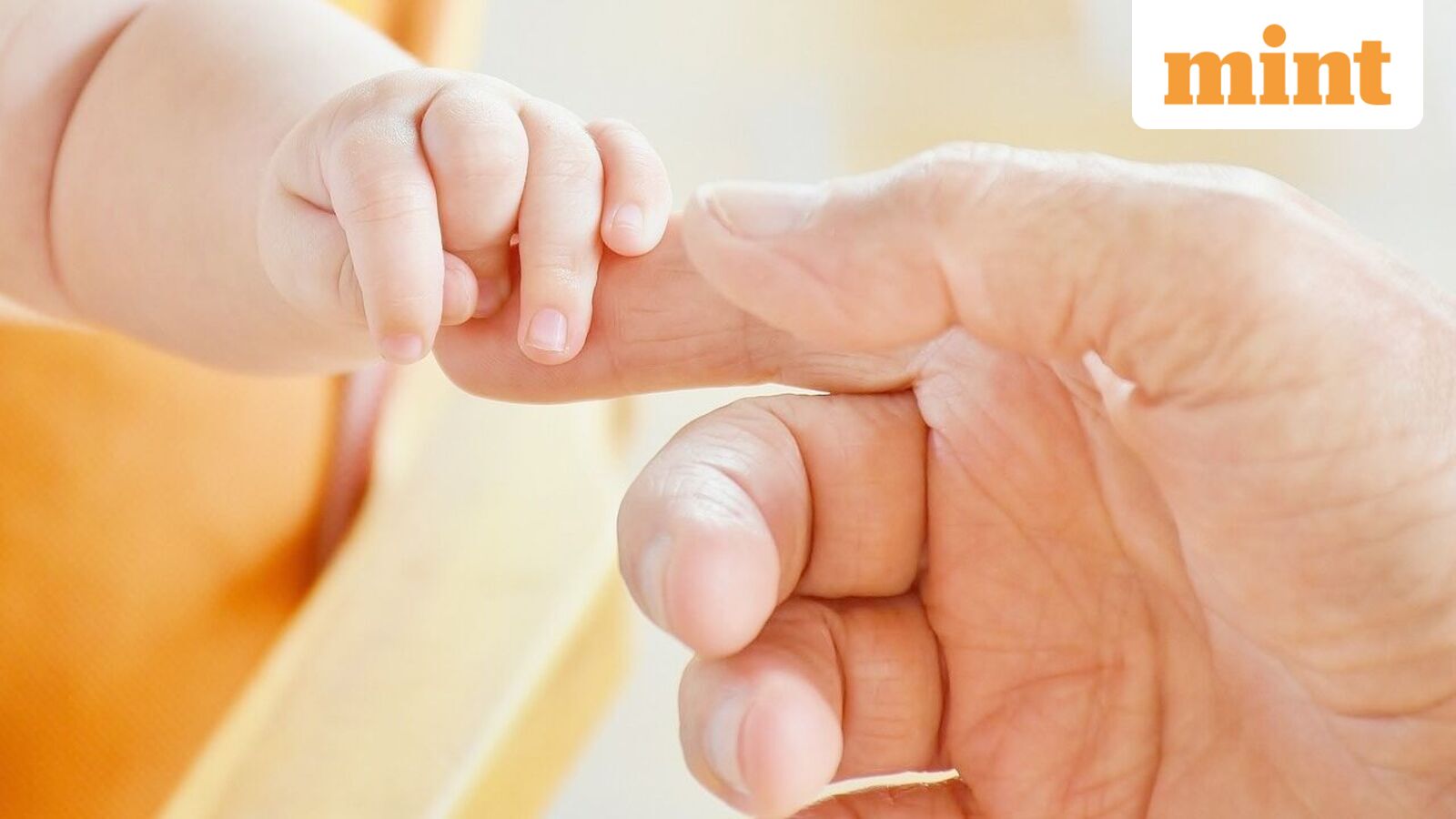 Gaudium IVF &amp; Women Health IPO: 10 key things to know from the RHP