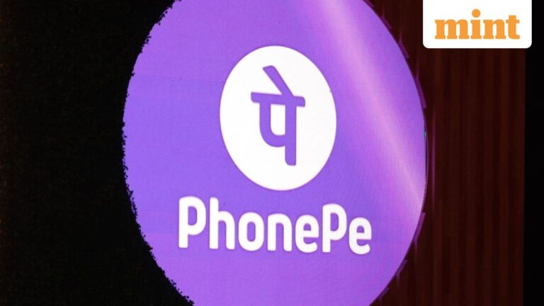 PhonePe IPO: How the company's large user base supports expansion beyond payments