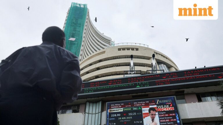 SIP muscle reshapes India’s IPO market as DIIs dictate valuations