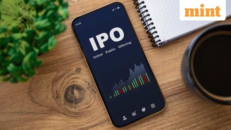 Clean Max IPO bets on growth discount in a weak listing market