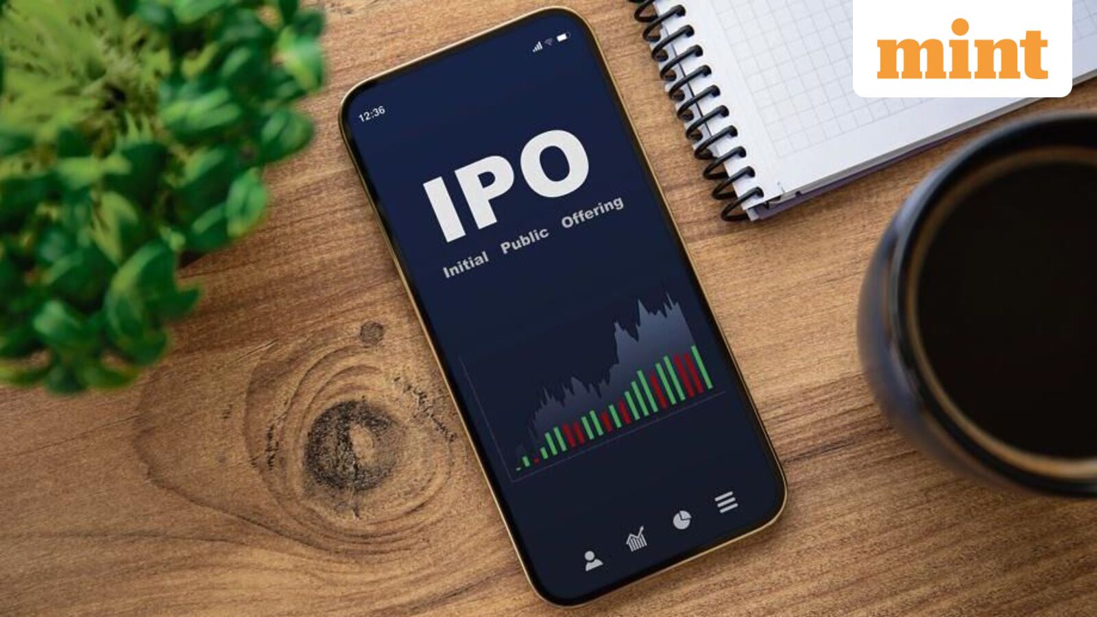 Clean Max IPO bets on growth discount in a weak listing market