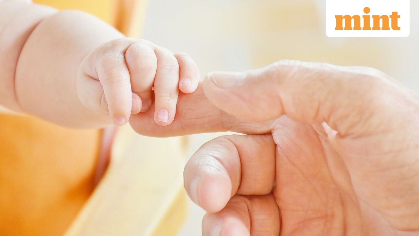 Gaudium IVF IPO LIVE Updates: Issue booked 63%; retail portion sails through — GMP signals 11% listing pop. Bid or skip?