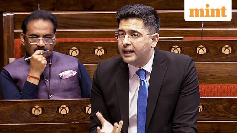 Legalise cryptocurrency and stablecoins in India, don’t drive investments offshore: Raghav Chadha