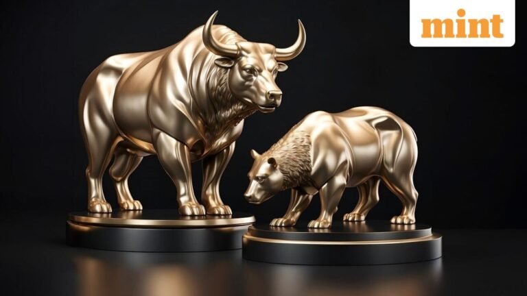 Market declines of 30-60% occur once every 7-10 years: What 46 years of Sensex data reveals