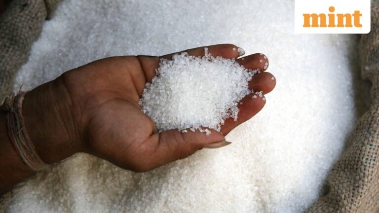 Dhampur Sugar Mills Q3 Results: Net profit jumps 75% YoY to  ₹26.5 crore, revenue improves 14%