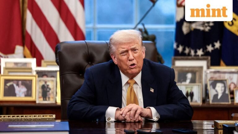 Textiles to chemicals: These sector stocks will remain in focus after US Supreme Court decision on Trump's tariffs