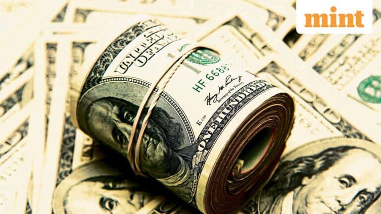 India-US deal triggers FPI short covering, but reversal not yet in sight