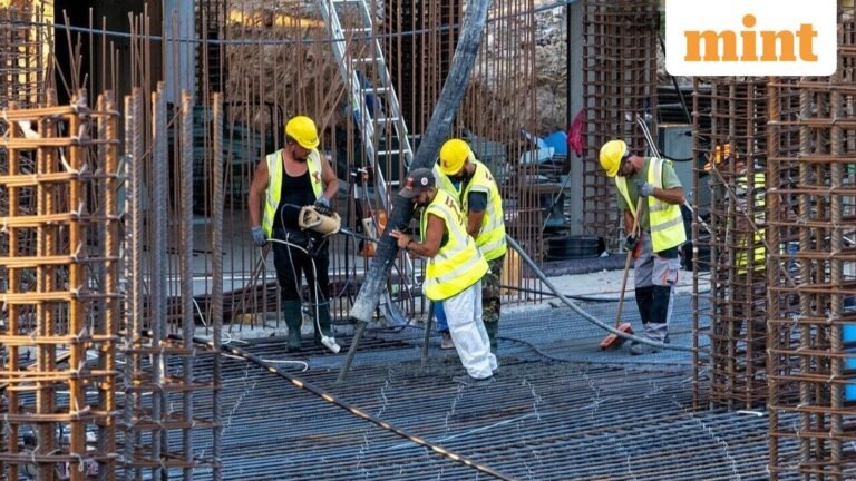 Shree Cement’s other troubles outweigh its green flags