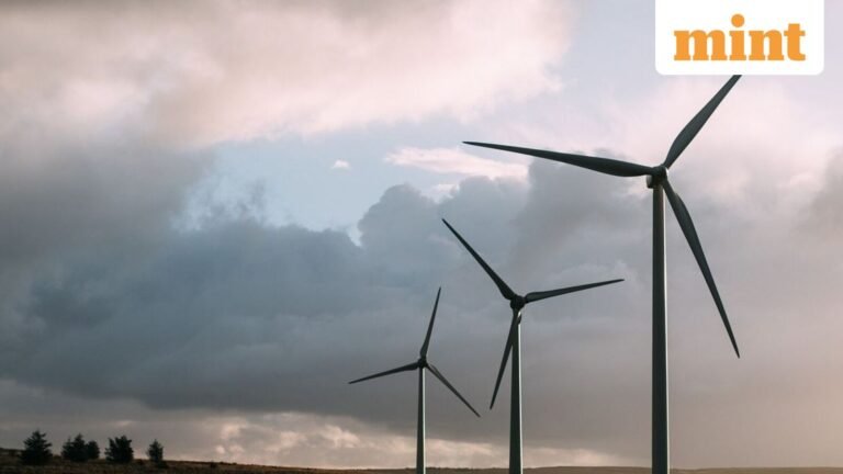 Suzlon or Inox Wind: Which renewable energy stock should you buy post Q3?