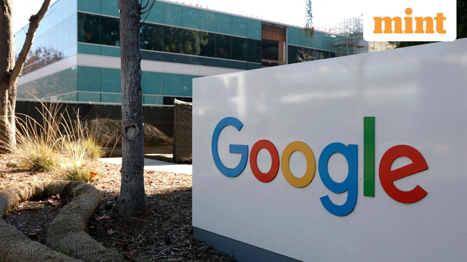 Why did Google's parent Alphabet stock fall even after posting solid Q4 revenue?
