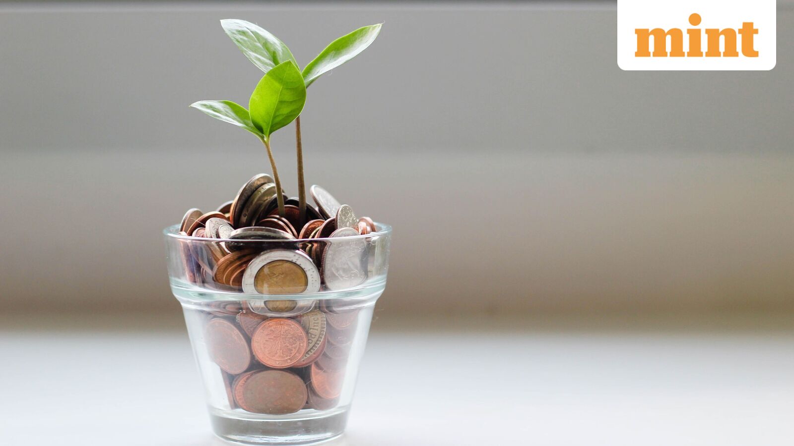 Dividend Stocks: HAL, IRCTC, Torrent Power, Coal India, among others to trade ex-dividend next week; Full list here