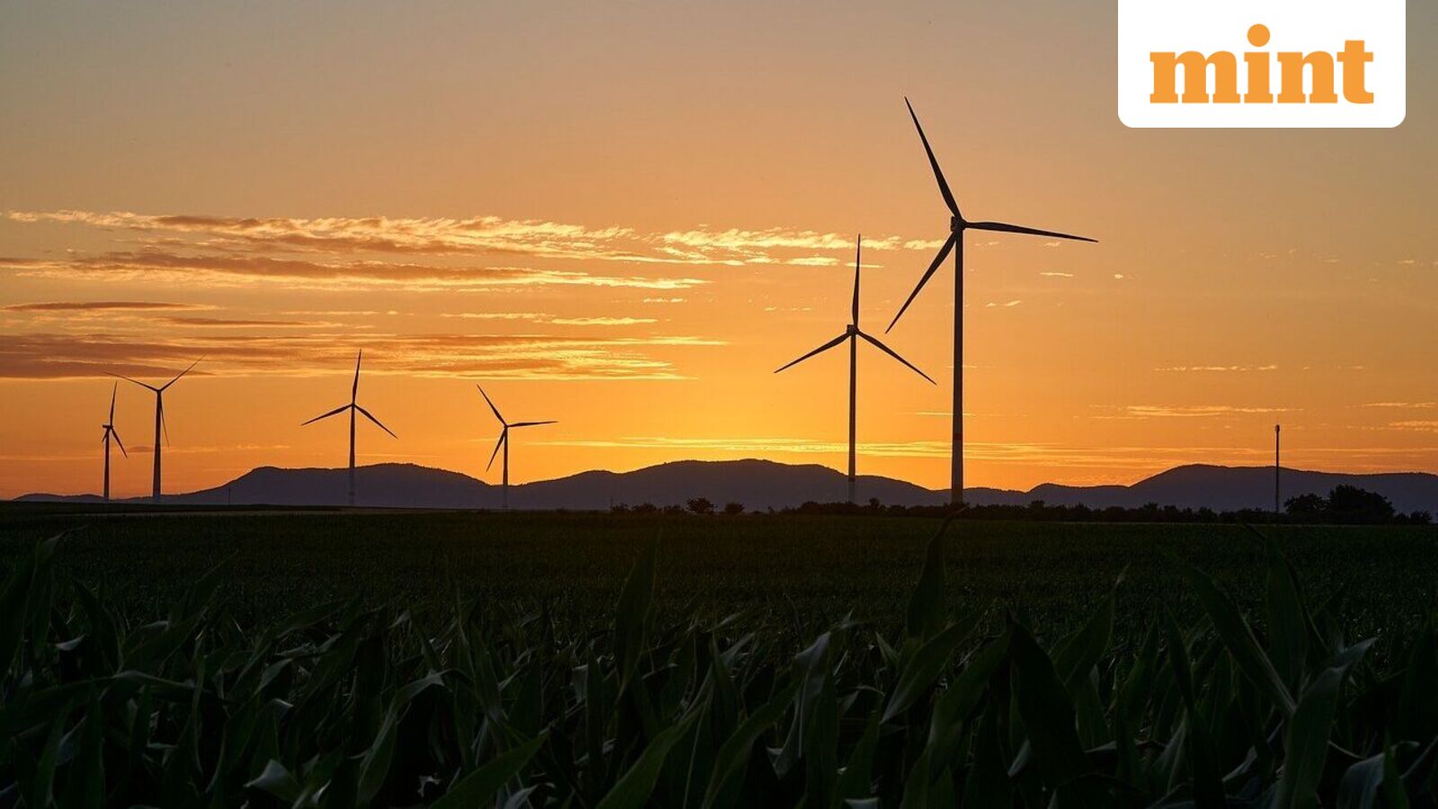 Suzlon Energy share price hits 52-week low in trade today, down 41% from year high - Should you buy?