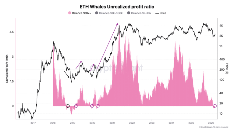 Ethereum Eyes 25% Rally as Top ETH Whales Return to 'Profitable State'