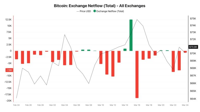 Bitcoin Exchange Outflows Signal Investor Accumulation