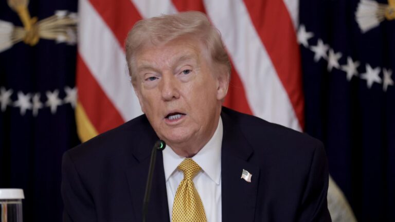 Trump signals coalition to force open Strait of Hormuz is not ready yet: 'Some are less than enthusiastic'