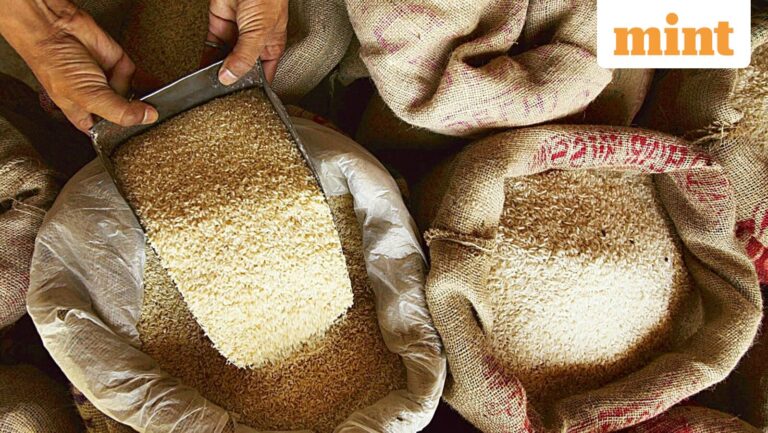 Amir Chand Jagdish Kumar IPO: GMP to price band — 10 key things to know ahead of offer launch on Tuesday