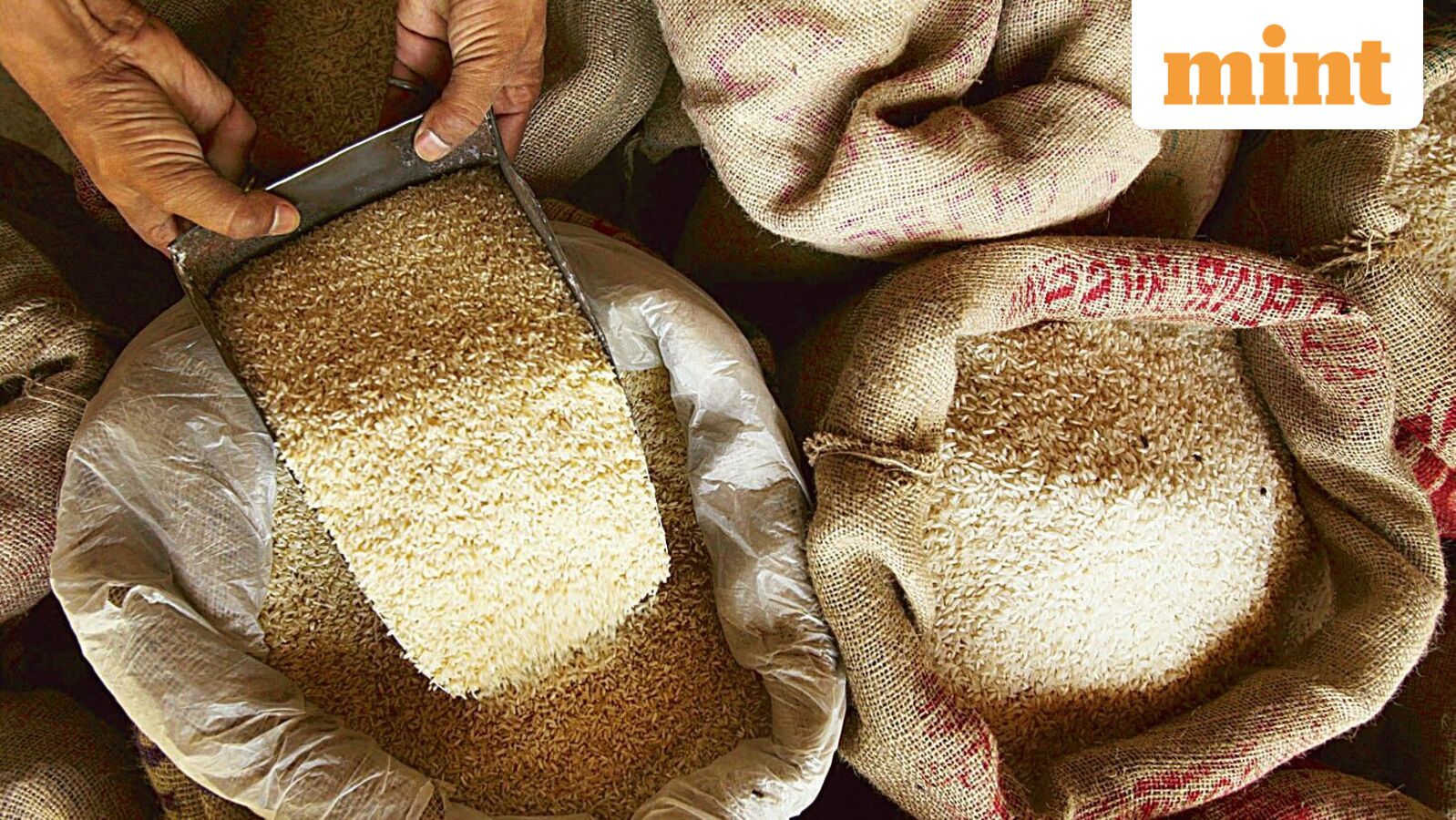 Amir Chand Jagdish Kumar IPO: GMP to price band — 10 key things to know ahead of offer launch on Tuesday