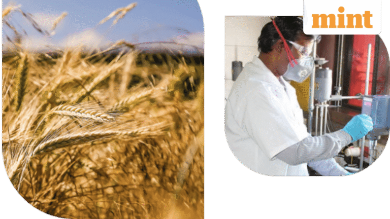 GSP Crop Science IPO Day 3: Issue booked 1.07x so far. Check GMP, review, key dates. Apply or Skip? | Stock Market News