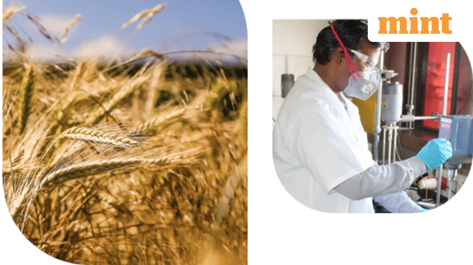 GSP Crop Science IPO Day 3: Issue booked 1.07x so far. Check GMP, review, key dates. Apply or Skip? | Stock Market News