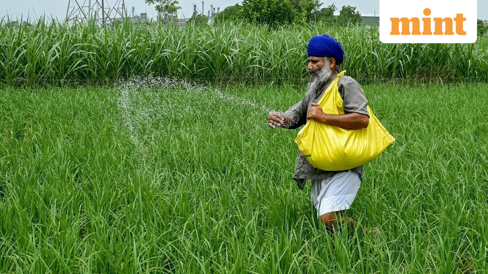 FACT, NFL to RCF: Fertiliser stocks jump up to 19% on Natural Gas Regulation Order, US-Iran war de-escalation buzz