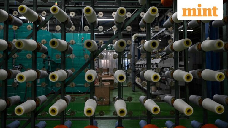 Shree Ram Twistex IPO listing date tomorrow: Here’s what GMP, subscription status hint ahead of debut | Stock Market News