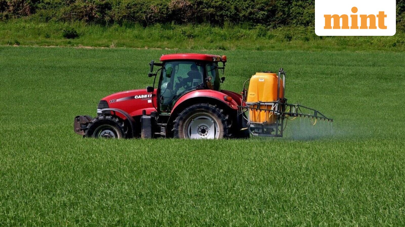 GSP Crop Science IPO Day 1 Live Updates: Issue booked 20% so far on QIB demand — GMP remains weak. Should you apply?