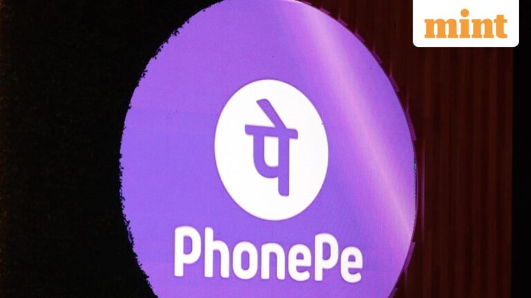 Walmart-backed PhonePe plans IPO valuation of up to $10.5 billion amid monetisation concerns, says report