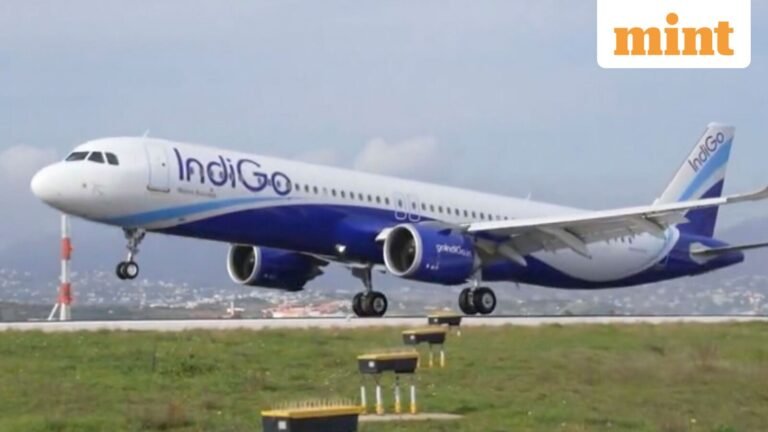 Why is IndiGo share price rising 3% despite CEO Pieter Elbers' resignation? Explained