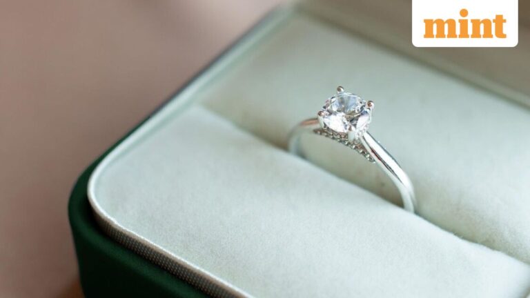 PNGS Reva Diamond Jewellery IPO to list at a discount? Here's what GMP signals ahead of stock market debut