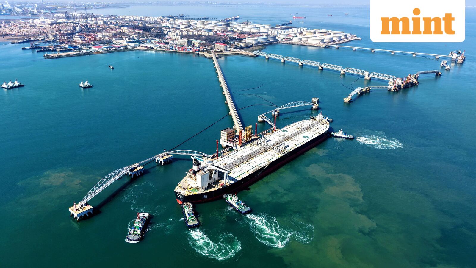 OMCs fall up to 5.5% as crude oil price remain above $100 US-Iran war: Which stock should you buy?