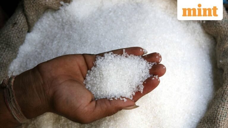 US-Iran war: Balrampur Chini, Shree Renuka Sugars to Triveni Engg - Is it the right time to buy sugar stocks?
