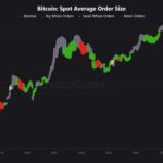 Bitcoin Eyes $90K As Whales Devour 20x Daily BTC Supply In Just 30 Days