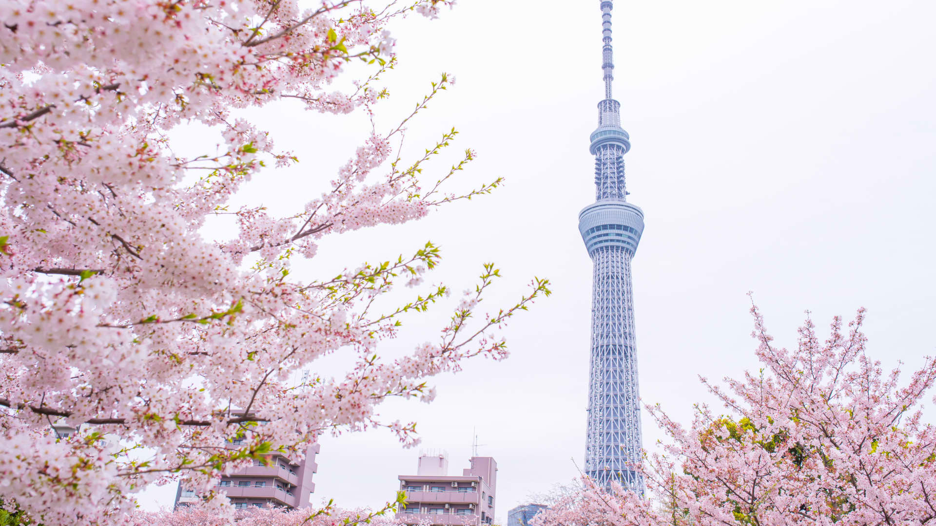 Asia-Pacific markets rise in Easter trade on hopes for Hormuz reopening