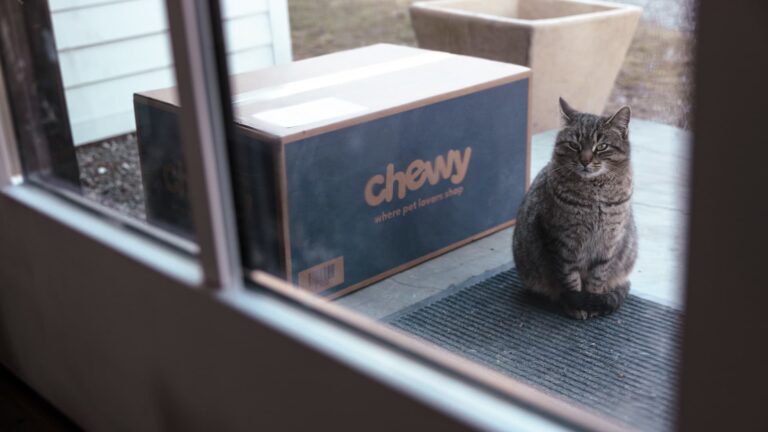 Two underperforming pet stocks are showing signs of life, says Katie Stockton