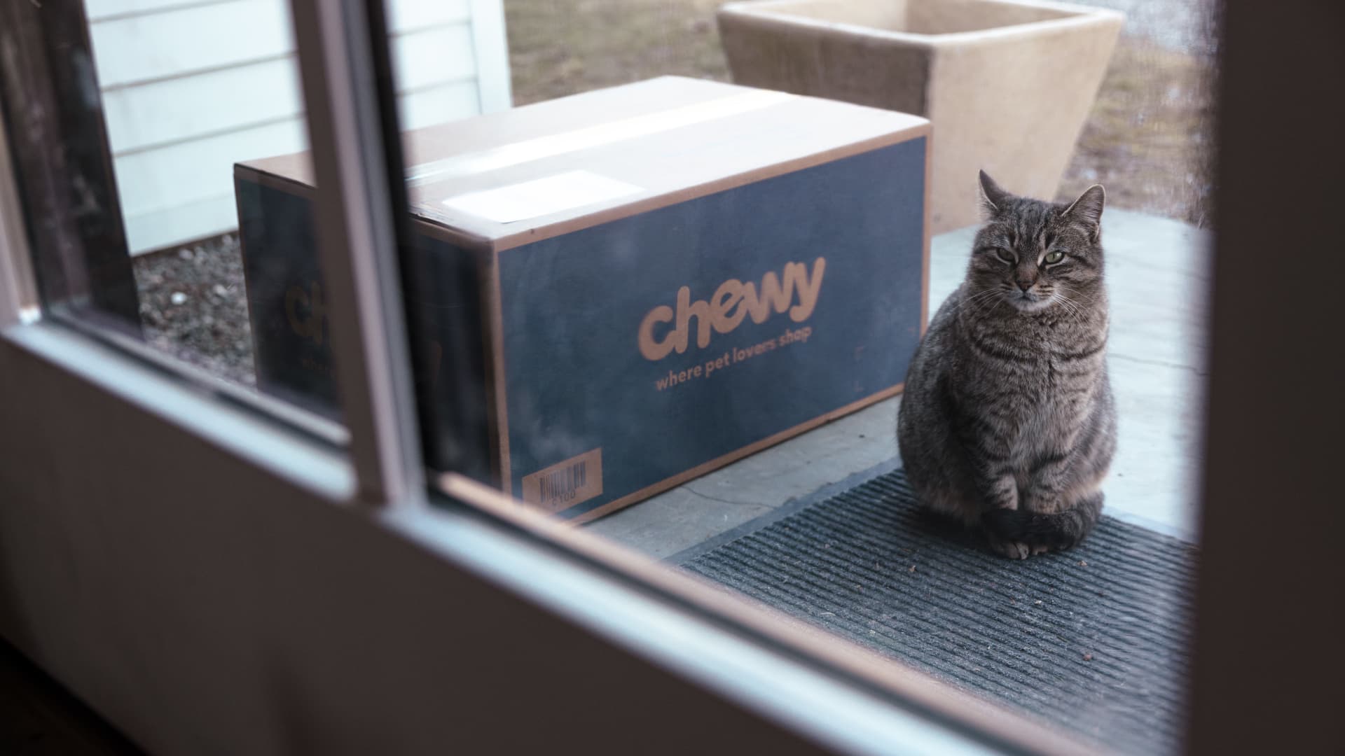 Two underperforming pet stocks are showing signs of life, says Katie Stockton