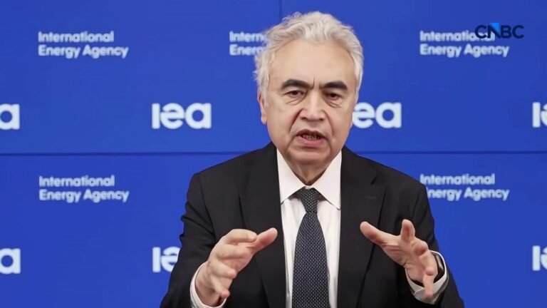 ‘We are facing the biggest energy security threat in history': IEA chief
