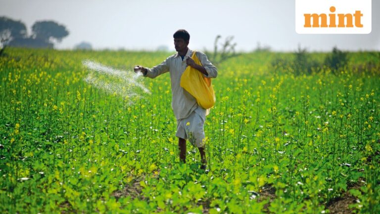 Three beaten-down fertilizer stocks to watch amid the Iran conflict