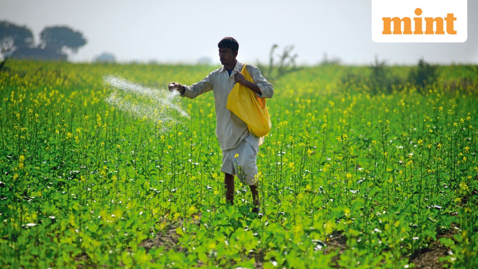 Three beaten-down fertilizer stocks to watch amid the Iran conflict