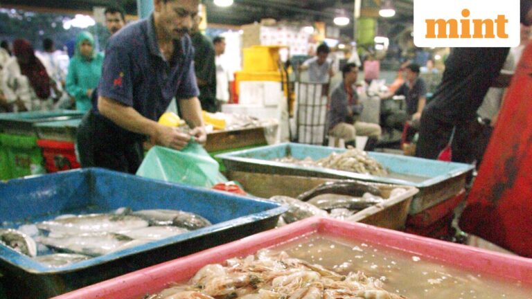 Why did Apex Frozen Foods, Avanti Feeds shares zoom up to 15% today? Explained