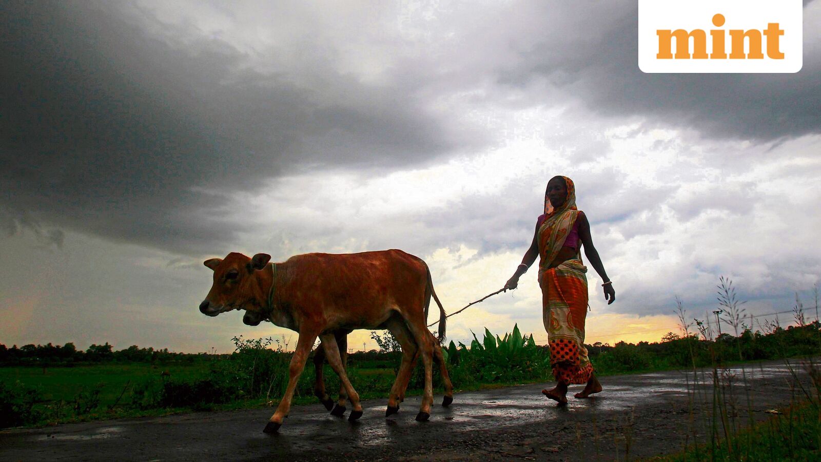 NBFCs may reflect monsoon stress before it shows up elsewhere