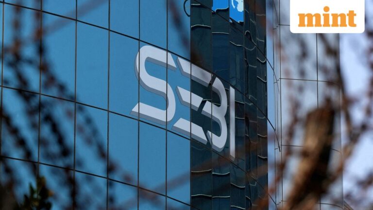 Sebi’s FPI netting move raises operational concerns for custodians